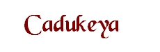 logo_cadukeya